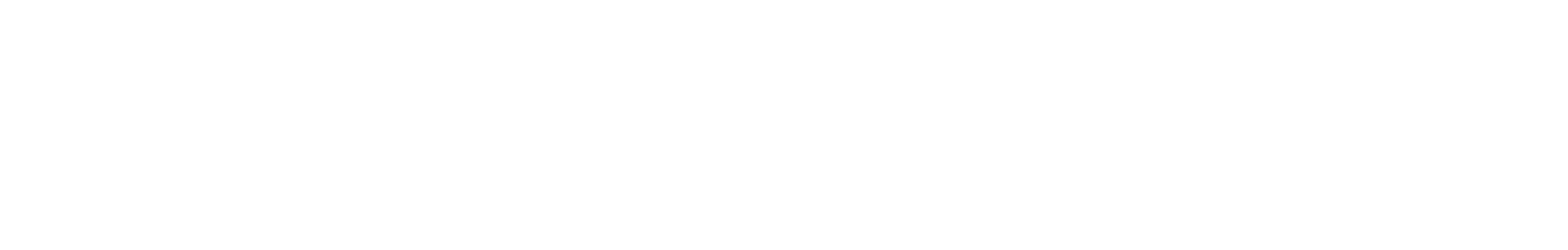 true-north-horiz-logo-white